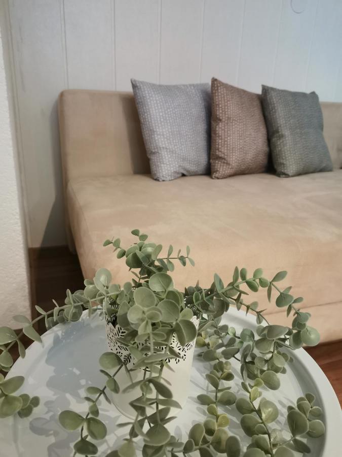 Riverside Appartements Lieserbrücke Εξωτερικό φωτογραφία